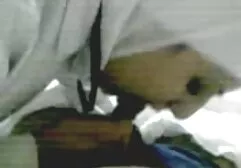 Depois de tirar o maiô branco, a video amador de corno beleza que se tornou famosa