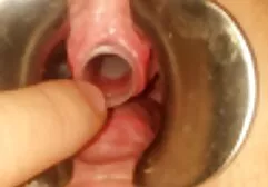 Mostra o butt plug e ensinar anal sexo tuga amador